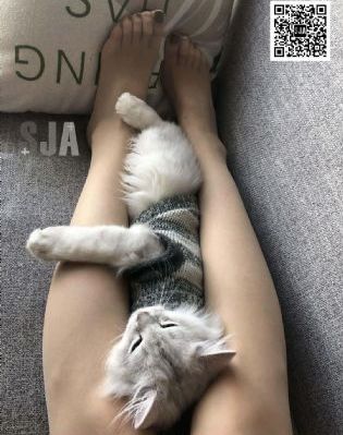 年轻的小痍子3