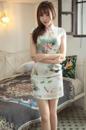 美国派2