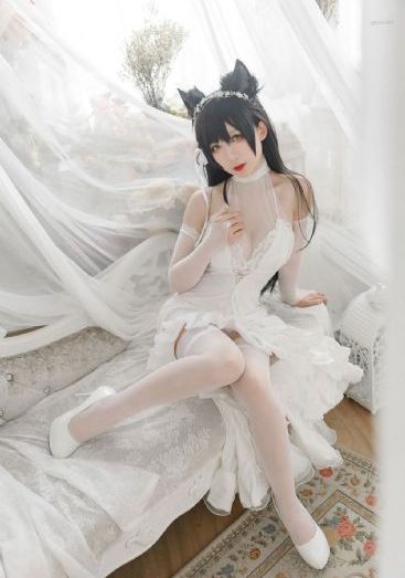宠妃凰图